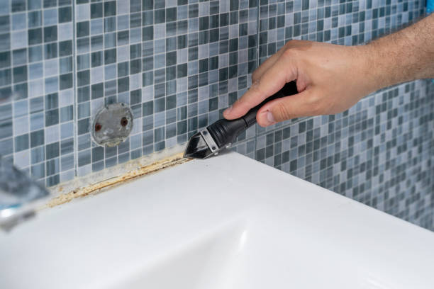 Best Health and Safety Mold Remediation in Buffalo, WY